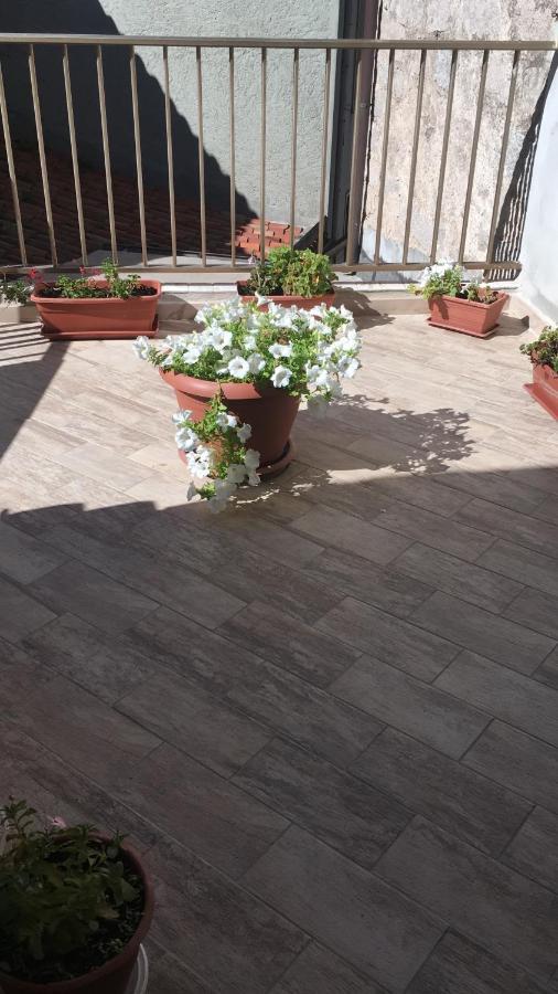 Guest House Le Gemelle Luras Екстериор снимка
